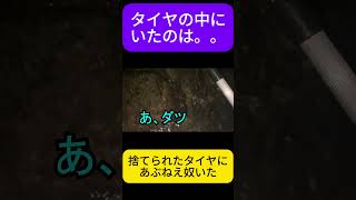 刺されたら危険な怪魚がタイヤの中にいた【沖縄】 生き物 生物 自然 潮干狩り 夜 危険生物 [upl. by Anomer]