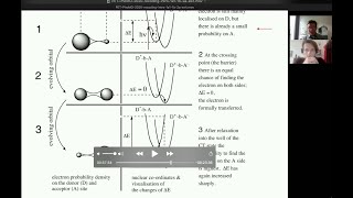 Photoinduced Electron Transfer  The Classical Marcus Theory René M Williams UvA [upl. by Namajneb]