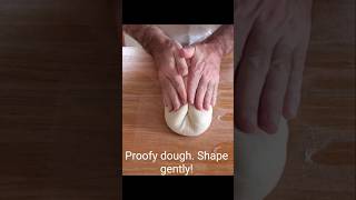 Shaping Proofy Sourdough sourdoughbread howtomakesourdough bread sourdoughtips [upl. by Jepum]