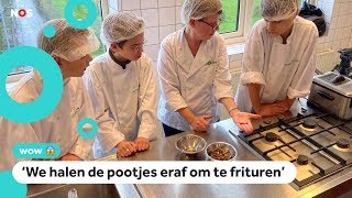 Kinderen koken en eten insecten op school [upl. by Ennahgiel]