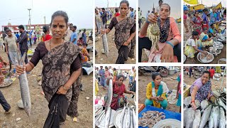 kakinada fishing harbourindias biggest live sea fish marketkakinada sea port [upl. by Shuping762]