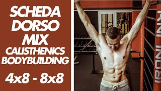 SCHEDA PALESTRA DORSALI 4x8 8x8 CalisthenicsBodybuilding 💪 [upl. by Adlar]