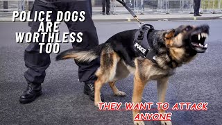 Police dogs Are Worthless Too part 5 of 6 [upl. by Latsirk]