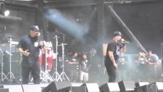 Cypress Hill Insane In The Membrane Live [upl. by Guillaume]