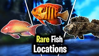 Skyrim AE  Rare Fish Locations [upl. by Akemal]