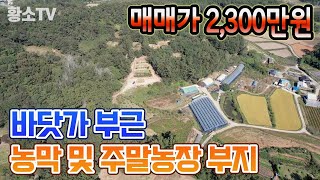 전남토지매매 1414 함평군 바닷가 부근 1203㎡ 364평 주말농장 amp 농막 부지 매매가 2300만원 [upl. by Illak598]