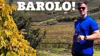 Wine Collecting BAROLO Overview amp 7 Top Barolo Wine Producers [upl. by Htrag]