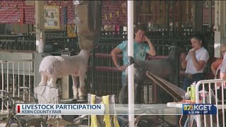 Livestock participation at the Kern County Fair [upl. by Aharon519]