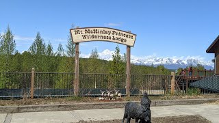 Mt McKinley Princess Wilderness Lodge Tour 2022  Princess Cruisetour [upl. by Dev]