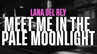 Lana Del Rey  Meet Me In The Pale Moonlight Synth Pop Version [upl. by Gneh]