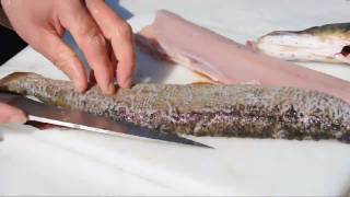 Hecht filetieren  How to filet pike or jackfish [upl. by Adrienne823]