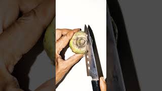 Amazing satisfying fruit cutting skills 🍒 subscribe [upl. by Artenak]