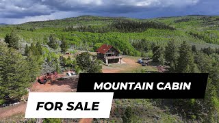 Mountain Cabin for Sale Walk Through [upl. by Asille]