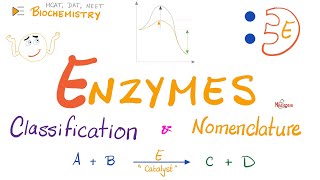 Enzymes Nomenclature and Classifications  Names and Types  Biochemistry 🧪 [upl. by Ahsinaj]