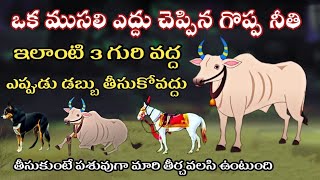 ఇలాంటి 3 గురి వద్ద అప్పు తీసుకోవద్దుTelugu StoriesSanatana VedikaMoral StoriesKarma Stories [upl. by Bernadine713]