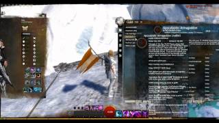 GW2 Mist Herald Backpack 500 gems [upl. by Hullda56]