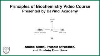 Amino Acids Protein Structure and Protein Functions Molecular Biology 4 of 11 [upl. by Webber]