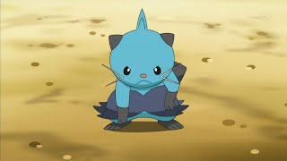 Dewott Clips  Pokemon [upl. by Nibuz331]