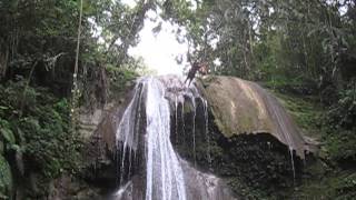 Cliff Diver in Gozalandia Puerto Rico [upl. by Namie618]