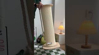 The Natural Fiber Behind Cat Scratching Posts sisal [upl. by Avrom]