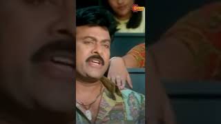 Anatomy Class jaragadhu  Shankar Dada MBBS  Chiranjeevi  Gemini Comedy [upl. by Aborn683]