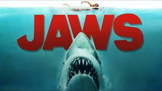 Jaws Theme Song 10 hours [upl. by Garihc]