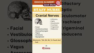 Cranial Nerves [upl. by Ahsieit]