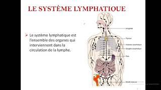 le système lymphatique  cours anatomie num 8 [upl. by Aninay]