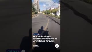 Motociclista flagra abandono de cachorro na Avenida Luiz Tarquínio [upl. by Lemrahc]