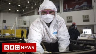 Coronavirus disease named Covid19  BBC News [upl. by Aset28]