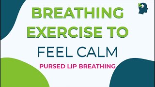 Breathing Exercises To Calm Anxiety  Pursed Lip Breathing 2023 [upl. by Ailgna]