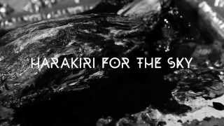 Harakiri For The Sky  My Bones To The Sea Official Music Video [upl. by Ahselat68]