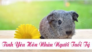 Tình Yêu Hôn Nhân Của Người Tuổi Tý  Tình Duyên Của Người Tuổi Tý [upl. by Ardnosal]