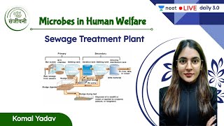 Sewage Treatment Plant  Microbes in Human Welfare  L2  Unacademy NEET  Komal Yadav [upl. by Alisan]