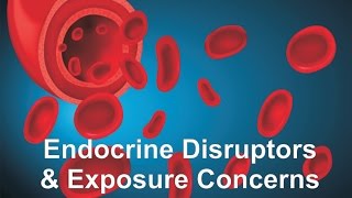 Endocrine Disruptors amp Exposure Concerns [upl. by Schonfeld982]