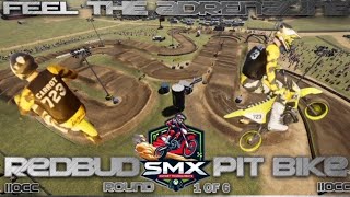 Pit Bike Carnage at Red Bud SMX eSports Round One [upl. by Nyrac]