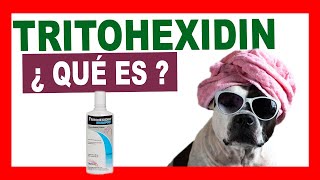 TRITOHEXIDIN Shampoo ¿QUÉ ES Y CÓMO SE UTILIZA [upl. by Mhoj]