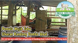 🛑 TERNAK DOMBA  UKURAN KANDANG IDEAL UNTUK DOMBA [upl. by Nojel351]