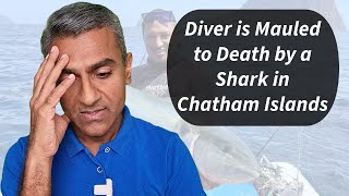 Commercial Diver is Mauled to Death by a Shark in New Zealands Chatham Islands [upl. by Naahs]