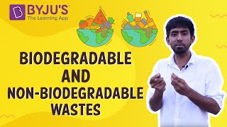 Biodegradable And Non Biodegradable Wastes [upl. by Haianeb51]