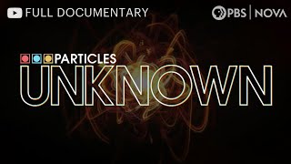 Particles Unknown Hunting Neutrinos  Full Documentary  NOVA  PBS [upl. by Ditmore91]