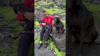 funny funnyvideo youtubeshorts youtube shorts short shortsviral viralvideo viralshorts dog [upl. by Navak]