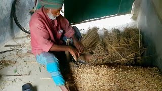 Regular Day of a Hard Working Villager who is Cutting Paddy Leaf for his Cow  Unique Skills [upl. by Iorio]