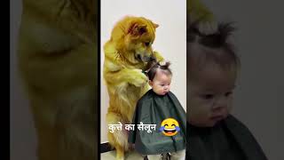 कुत्ते का सैलून 😂 shorts shortsvideo funny [upl. by Mcmath]