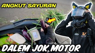 BEGINILAH JADINYA KALO COWOK BELANJA SAYUR [upl. by Peugia]