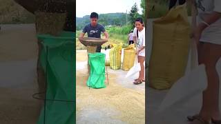 The method of quickly loading grain into a bag in action [upl. by Annaoj195]