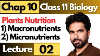 Plants Nutrition in pashto  Micronutrients amp macronutrients  11th bio chap 10  Lecture 02 [upl. by Isolt688]