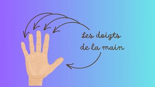 Les doigts de la main  The fingers [upl. by Anilek]