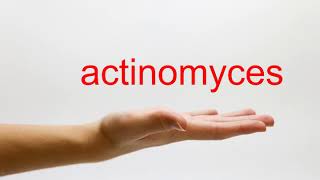 How to Pronounce actinomyces  American English [upl. by Garvy397]