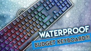 This Budget RGB Keyboard is WATERPROOF Cooler Master Masterkeys Lite L Combo Review [upl. by Tilagram]